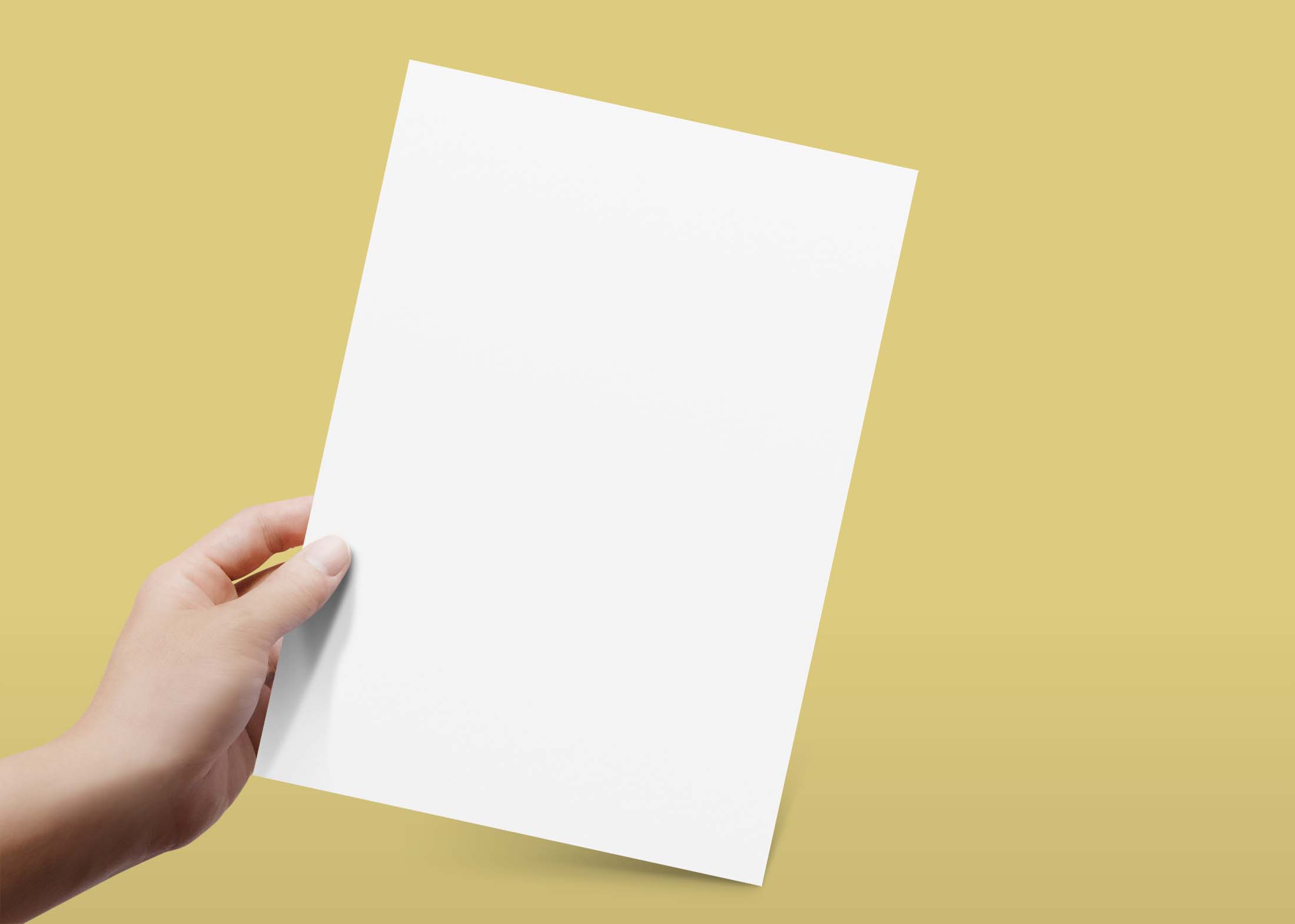 Free Single Page Flyer Mockup