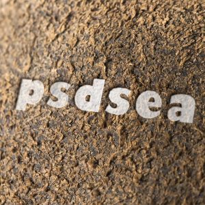 Free Wood Tree Surface Logo Mockup