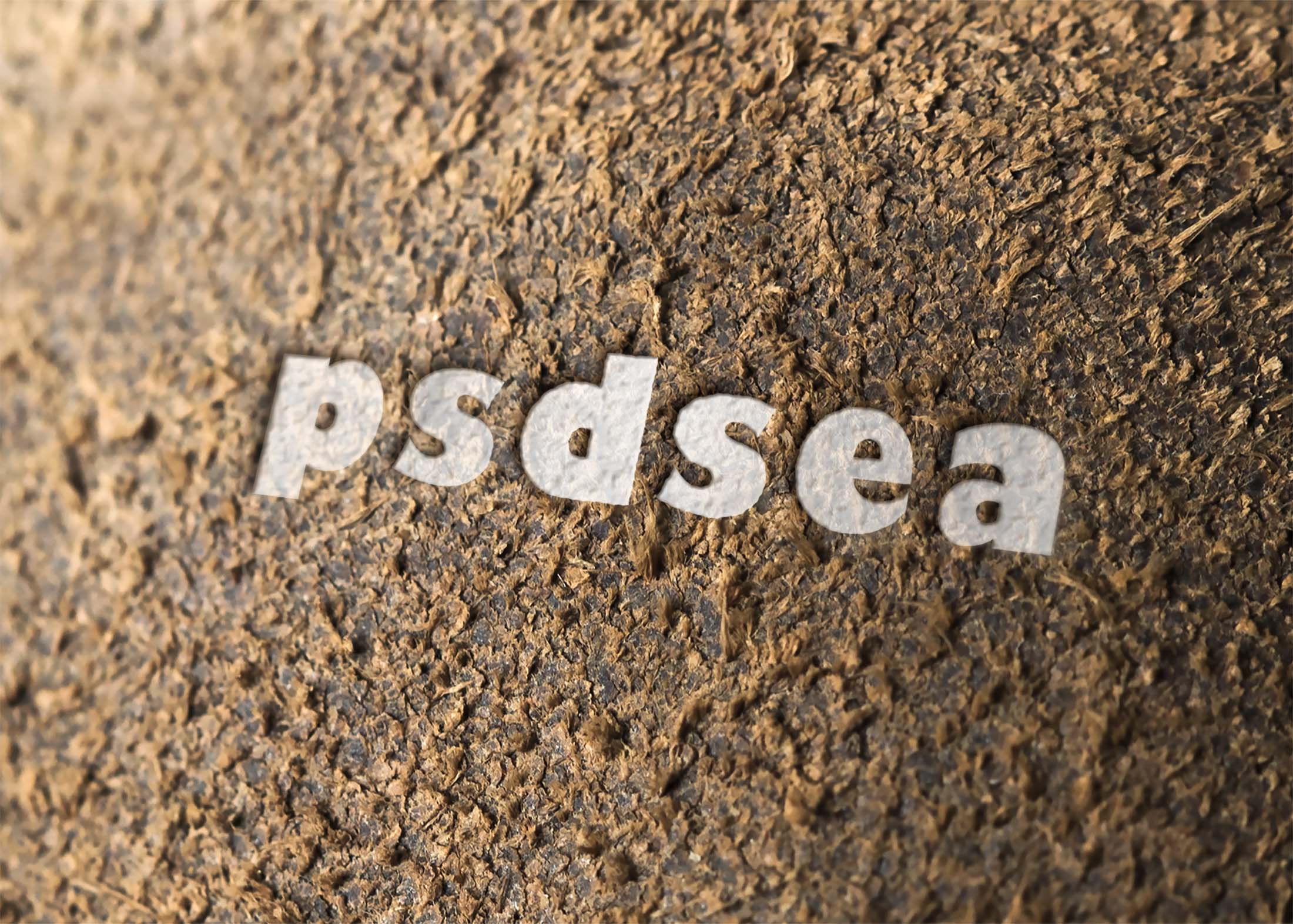 Free Wood Tree Surface Logo Mockup