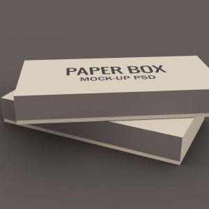 Free Brown Paper Box Mockup