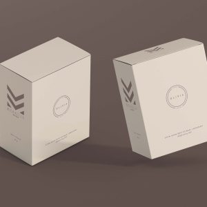 Free Jewelry Luxury Packaging Mockup