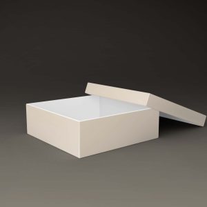 Free Document Stroage Box Mockup