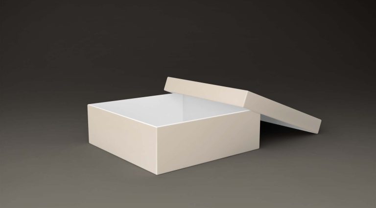 Free Document Stroage Box Mockup