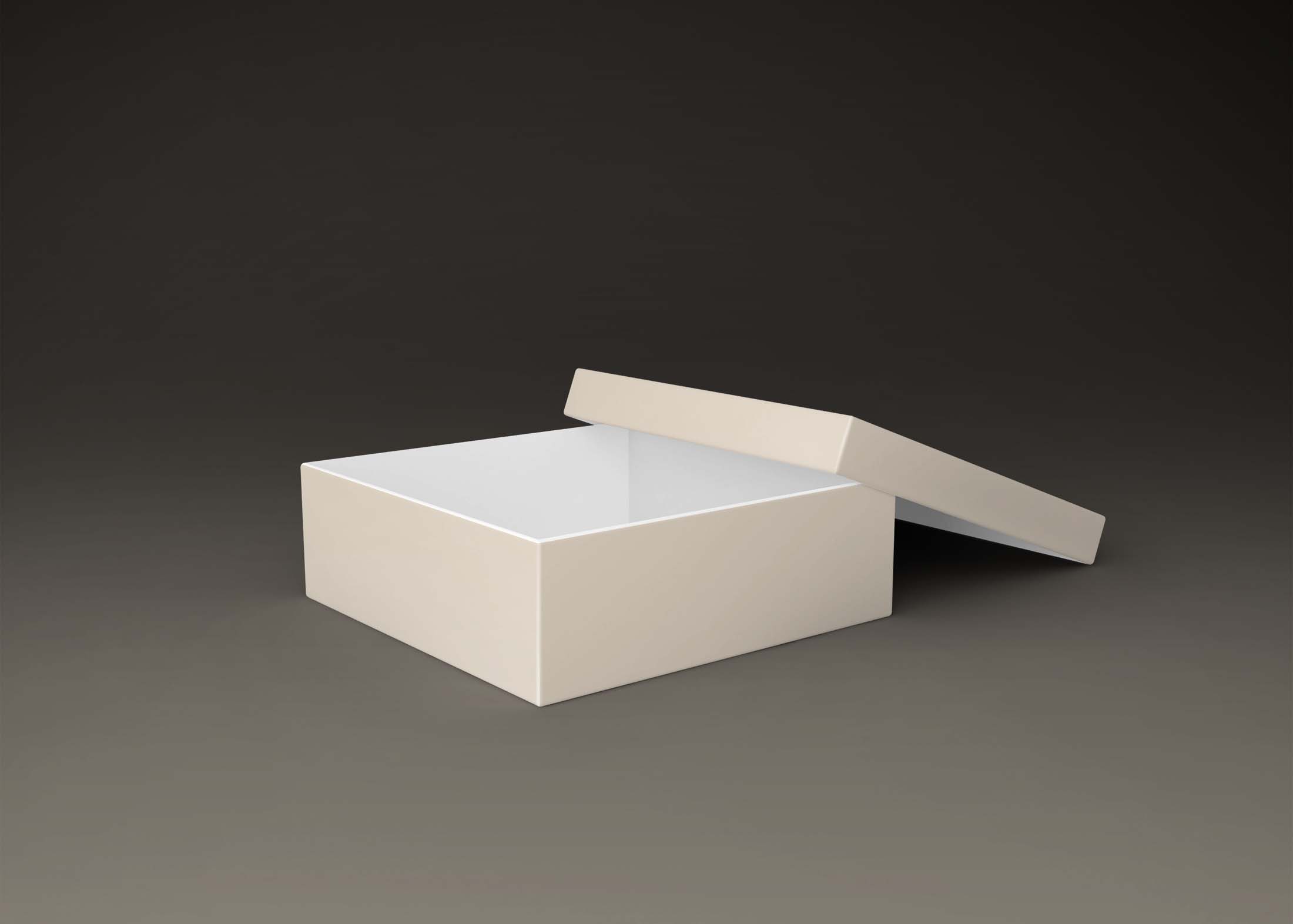 Free Document Stroage Box Mockup