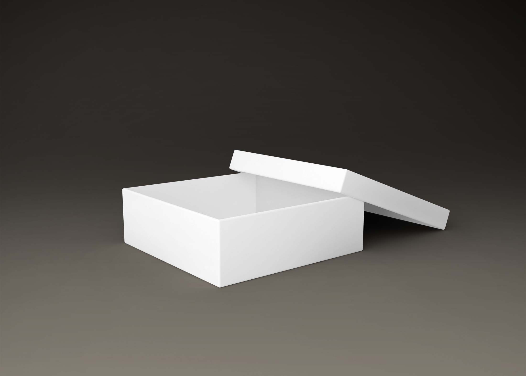 Free Document Stroage Box Mockup