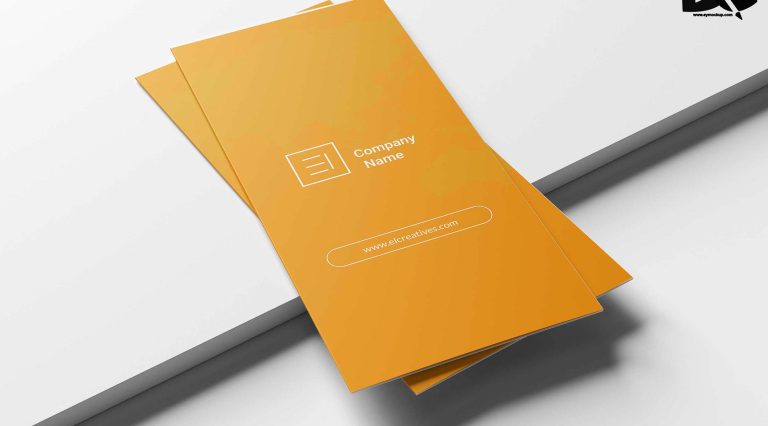 Colorful Tri-fold Brochure