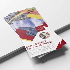 College Tri-fold Brochure