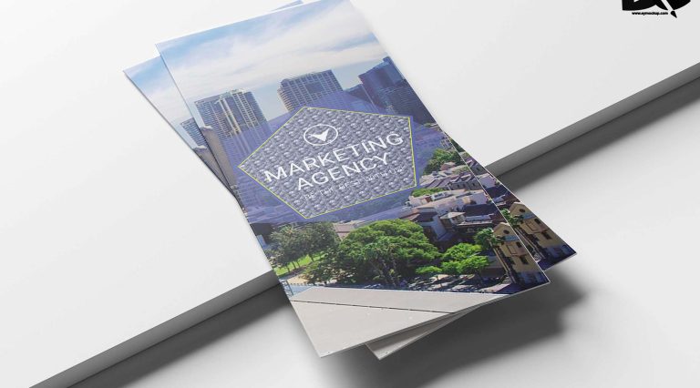 Real Estate Tri-fold Brochure